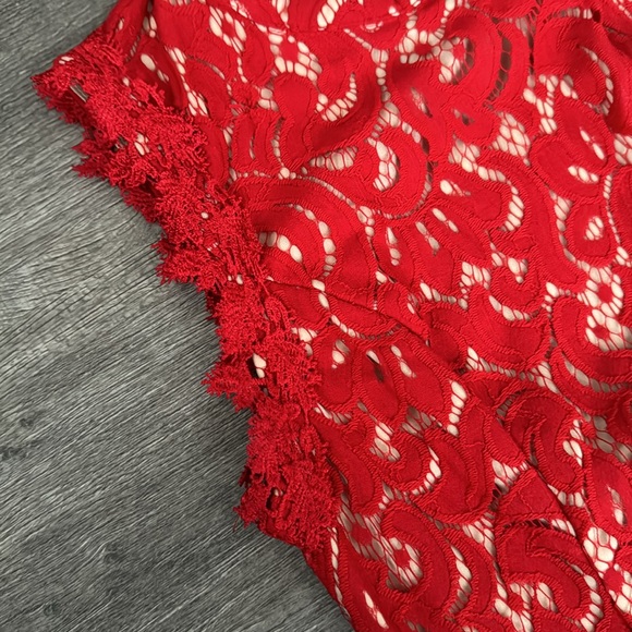 Francesca’s Dress - Picture 3 of 5